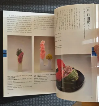 Libro texto 3r grado Ikebana Sogetsu