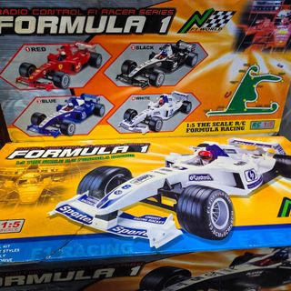 Carro RC Fórmula 1 Escala 1:5