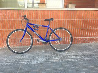 Bicicleta Montaña Globetrotter Azul