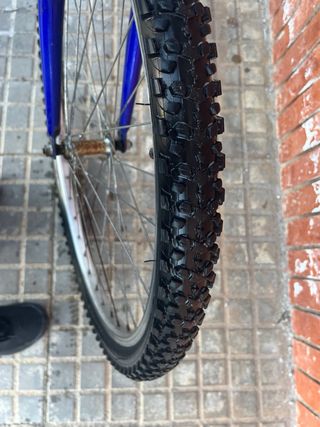 Bicicleta Montaña Globetrotter Azul