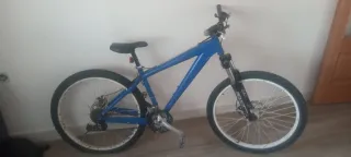 Bicicleta azul