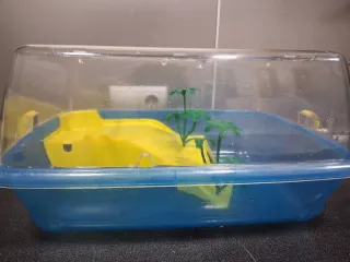 Acuario Tortuga Submarino Amarillo