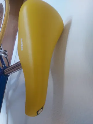 Bicicleta Bianchi Retro Azul