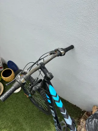 Bicicleta de Montaña