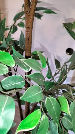 Planta Artificial Ficus Benjamina FEJKA IKEA