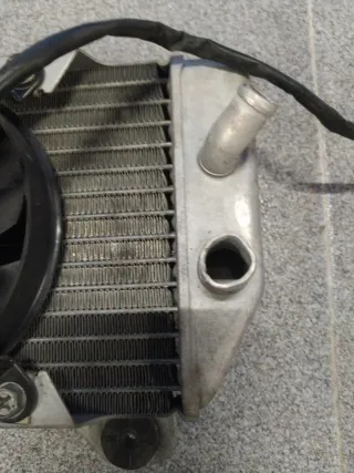 Radiador Honda Forza 250 (05-07)