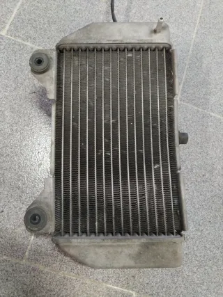 Radiador Honda Forza 250 (05-07)