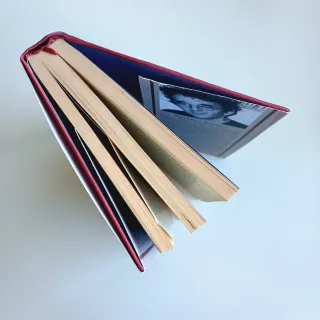 Libro ROBERTO BOLAÑO: Tres novelas