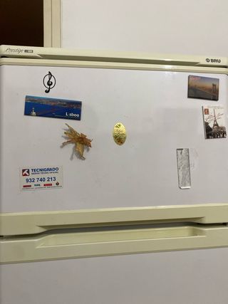 Nevera BRU seminueva