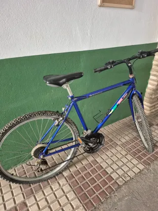 Bicicleta infantil azul