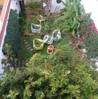 JARDINERO ECONÓMICO