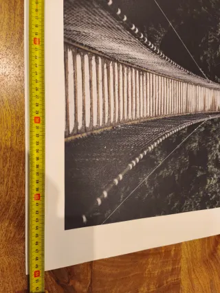 Poster Ponte Sospeso nel Bosco 50x70