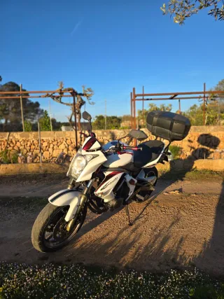 Kawasaki ER6-n 2009 Blanca