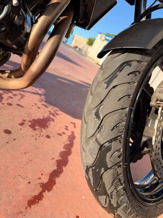 Kawasaki Z650 Negra y Verde