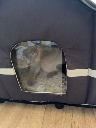 Caseta para Gato Exterior Impermeable