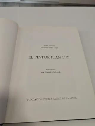 El pintor Juan Luis arte gallego