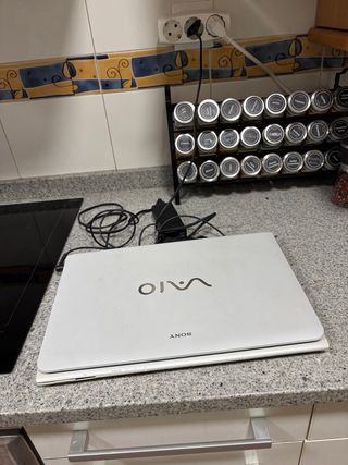 Portátil Sony VAIO Blanco