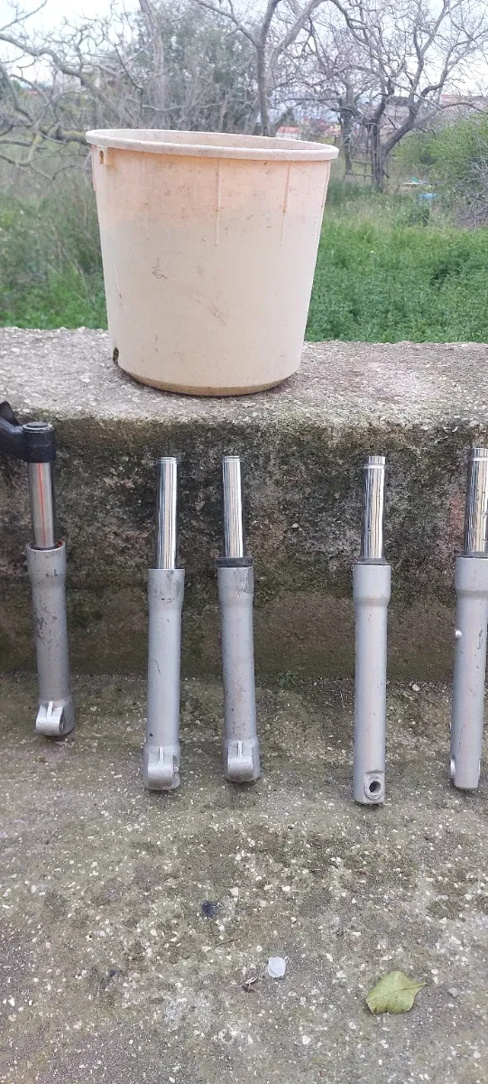 Forcelle liberty  mocc e iget  50