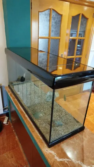 Acuario 288 Litros COMPLETO + Extras