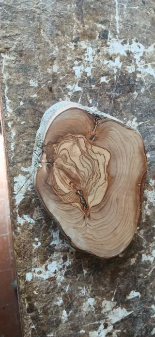 Fetta Legno Ulivo Decorazione Tavolo
