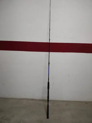 Caña de Pesca Carpelan Jigging