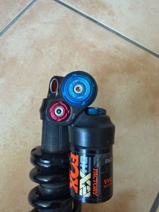 FOX DHX2