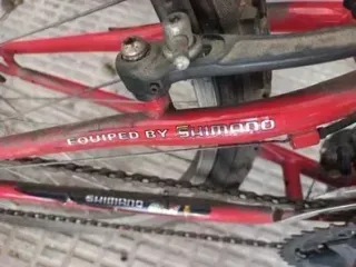 Bicicleta Montaña Cadete MTB