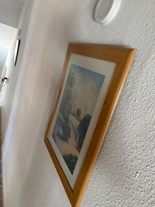 Cuadro paisaje jardín con marco de madera