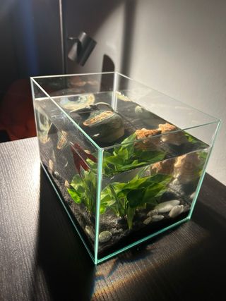 Acquario in vetro temperato