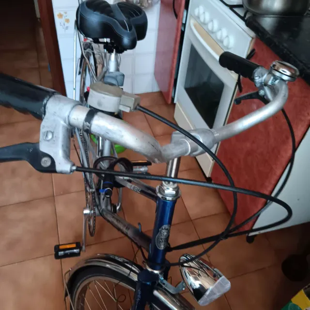 Bicicleta Paseo GAZELLE