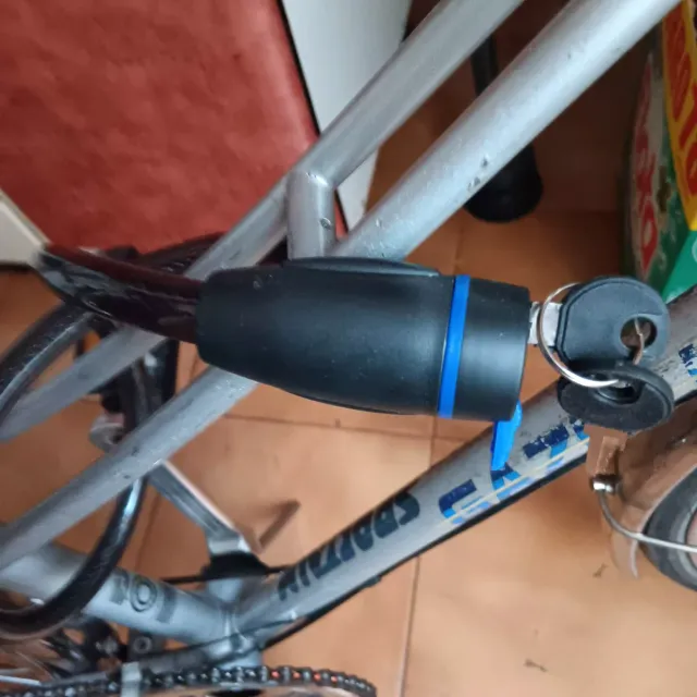 Bicicleta Paseo GAZELLE