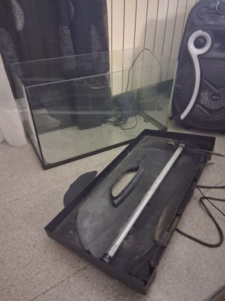 Acuario 100L completo con adornos