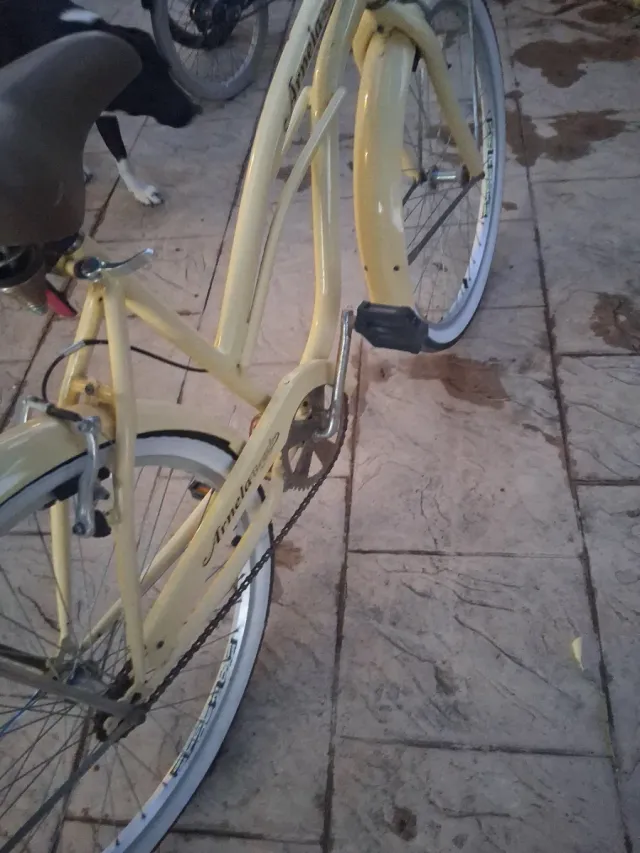 Bicicleta Arnela Talla 26 Amarilla