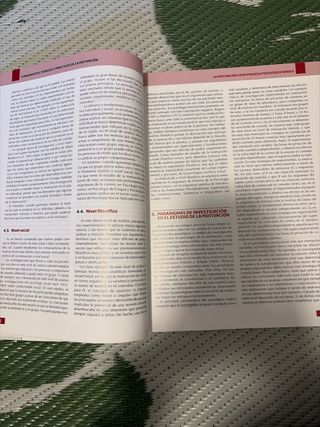Fundamentos Teóricos y Prácticos de la Motivaci...