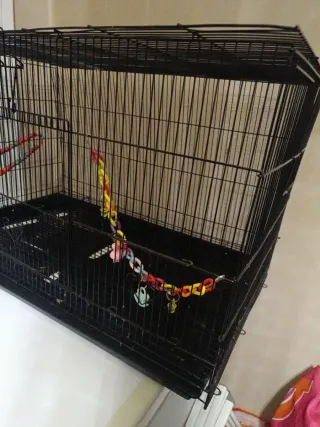 Jaula para pájaros (Agapornis, cotorra)