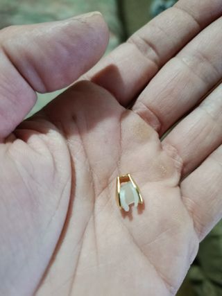 Diente de oro simulado nuevo