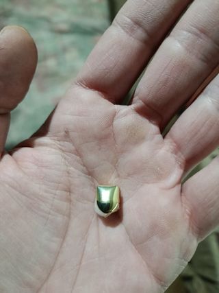 Diente de oro simulado nuevo