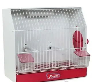 Jaula exposición curiosa