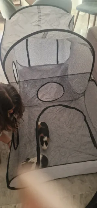 Tenda per animali domestici con tunnel