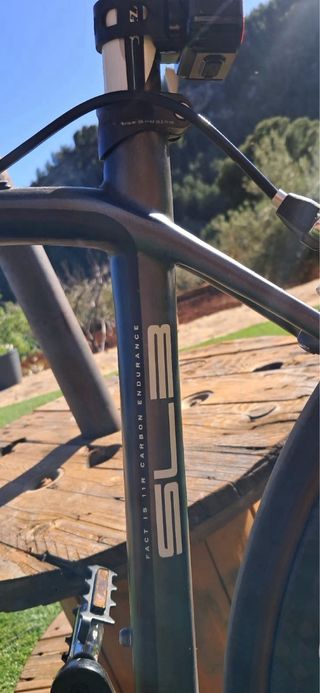 Bicicleta Carretera S-Works Carbono