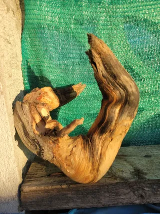 Tanuki para bonsái o terrario