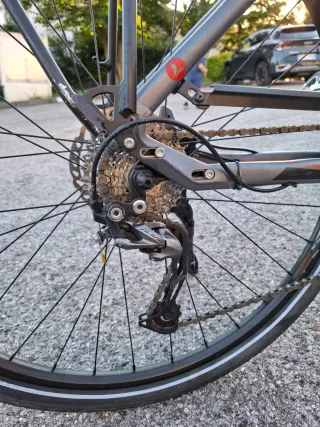 Bici elettrica Lombardo Montecatini 7.0