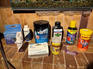 Acuario con accesorios