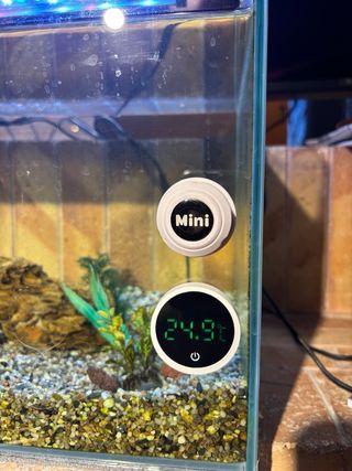 Acuario con accesorios