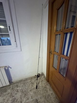 Caña de pescar spinning