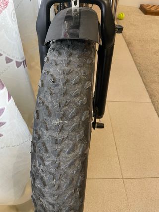 Bicicleta Eléctrica Fat Bike Youin