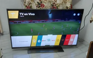 Televisor LG Negro