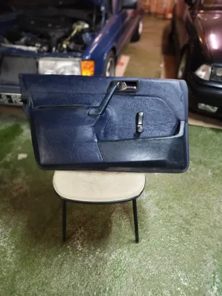 Paneles Puerta Mercedes 190 W201 Azul