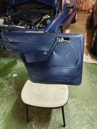 Paneles Puerta Mercedes 190 W201 Azul