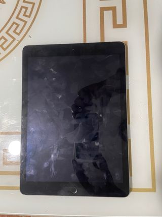 Apple iPad Plata